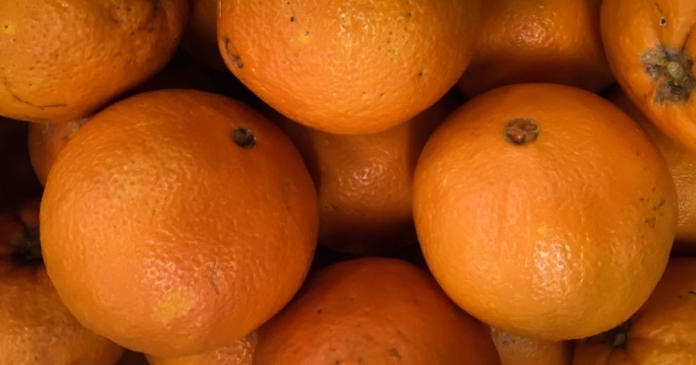 Oranges du MiN de Nantes