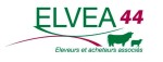 ELVEA 44