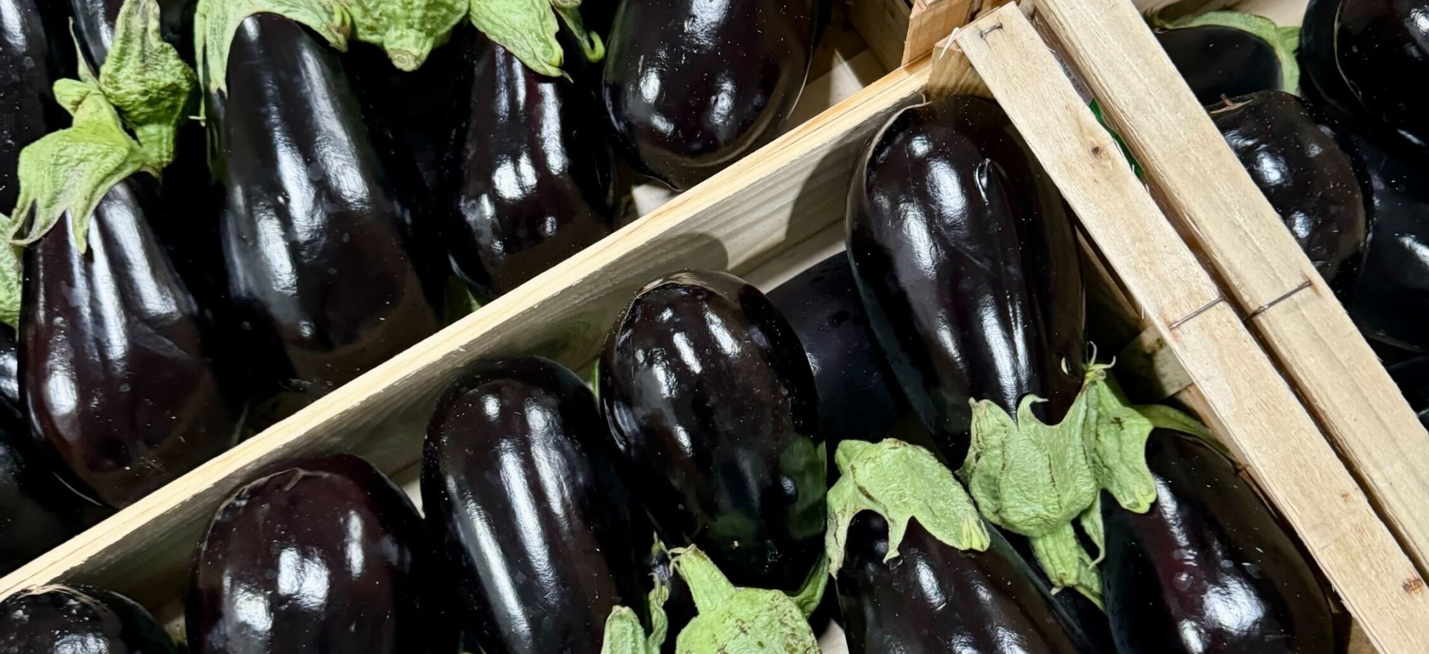 Les aubergines du MiN de Nantes